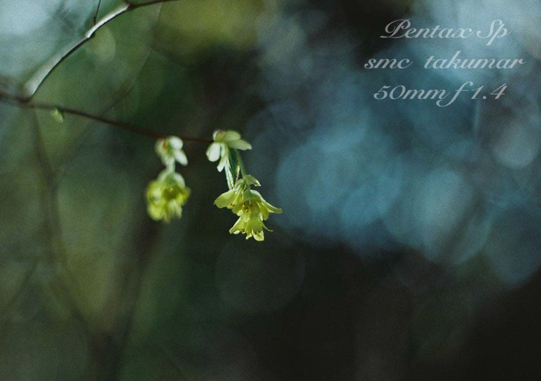 ☆完動品＊美品☆pentax sp☆smc f1.4☆初期保証＊作例必見 - メルカリ