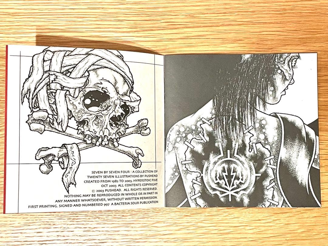 希少】PUSHEAD パスヘッド 画集 Bacteria Sour サイン入 - メルカリ