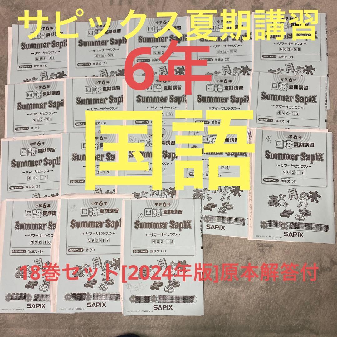 6年 SAPIX 国語 夏期講習セット 2024年版原本 - メルカリ