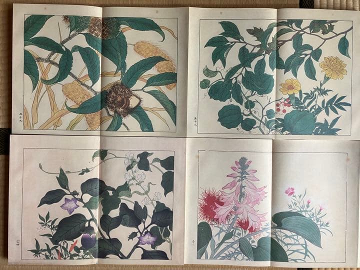 四季の花 復刻版 全10冊 はなてちょう4冊付 - メルカリ