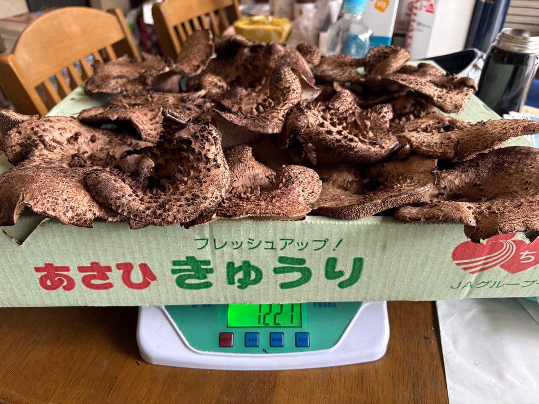 KRAMER クラマー ブローチ／アンバー × トパーズ × ABストーン