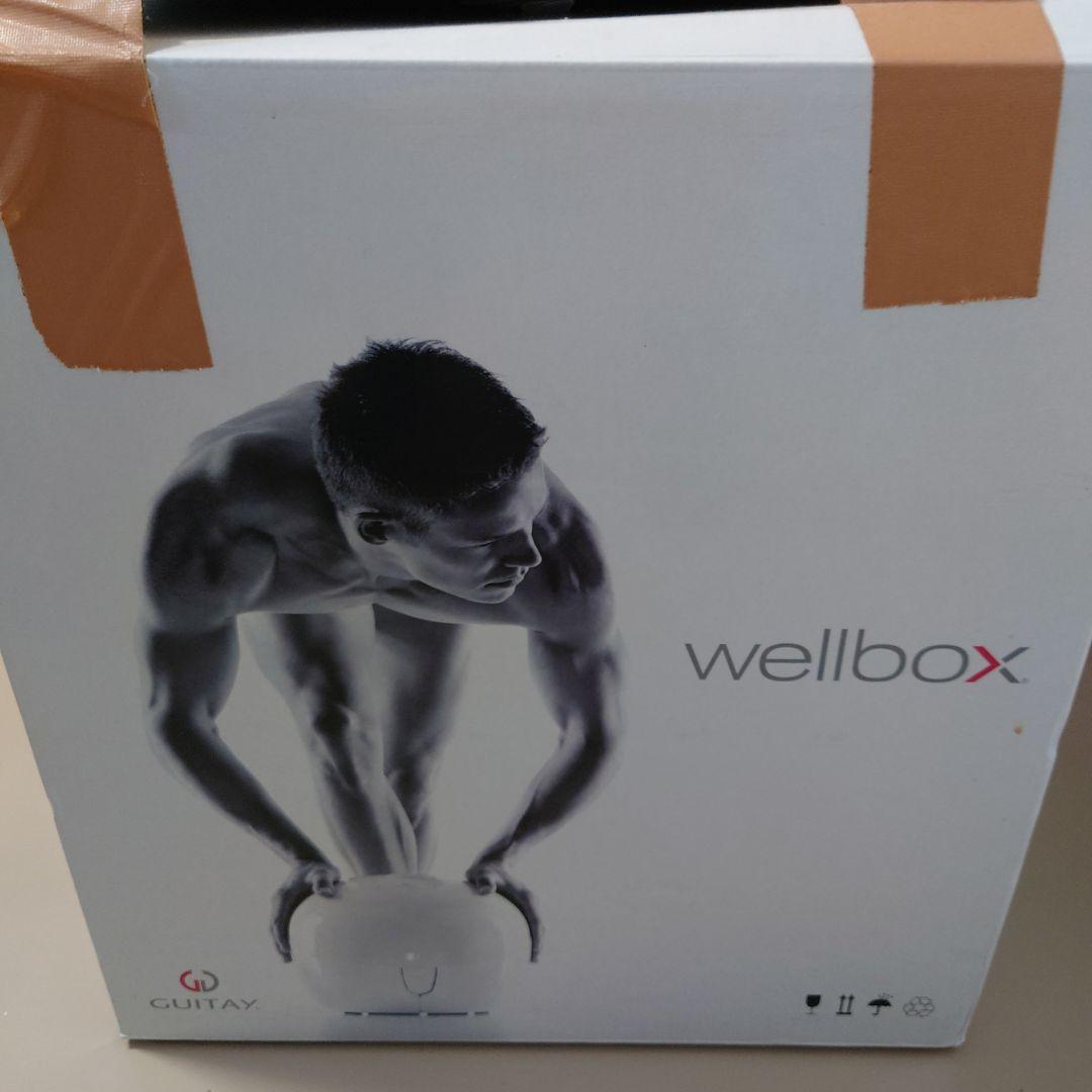 wellbox　中古 着払い ZX-PLAP-(1)｜テルワールド（NTT中古ビジネスフォン販売店）