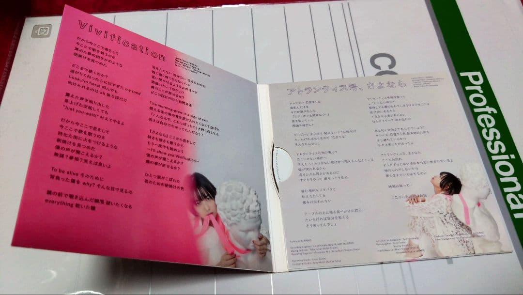 RIRIKO　CD（NELKE）サイン　2021年 RIRIKOセルフライナーノーツ - 『ステレオタイプヒロイック