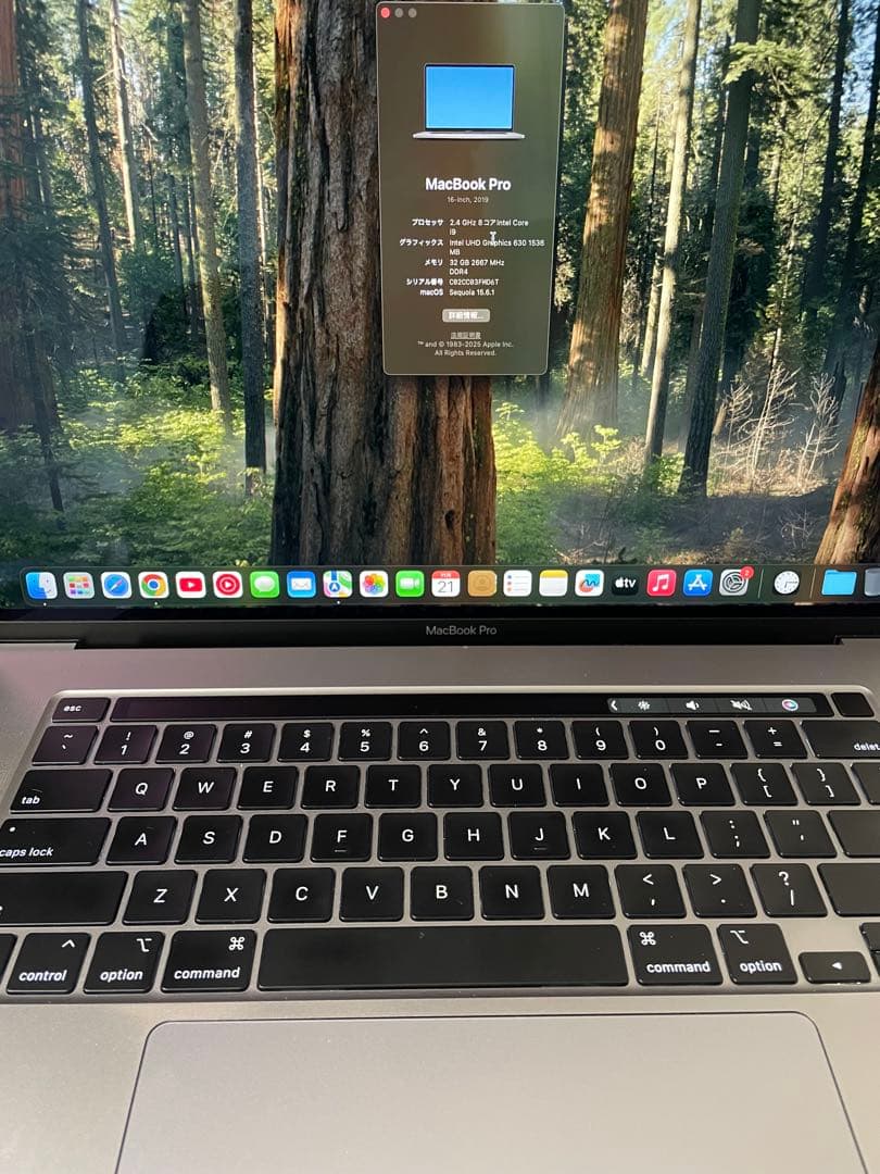ガ*テ様 MacBook Pro 16インチ 2019 i9 32GB Apple MacBook Pro 16