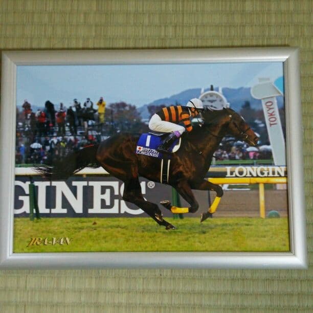 キタサンブラック 種馬として成功してほしい」キタサンブラック、ドゥラメンテに続け