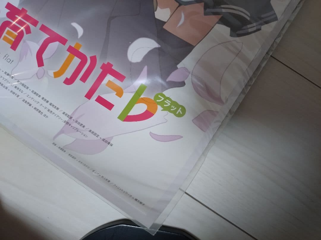 【非売品・未開封】テレビ放送告知ポスター　冴えない彼女の育てかた　公式　新品