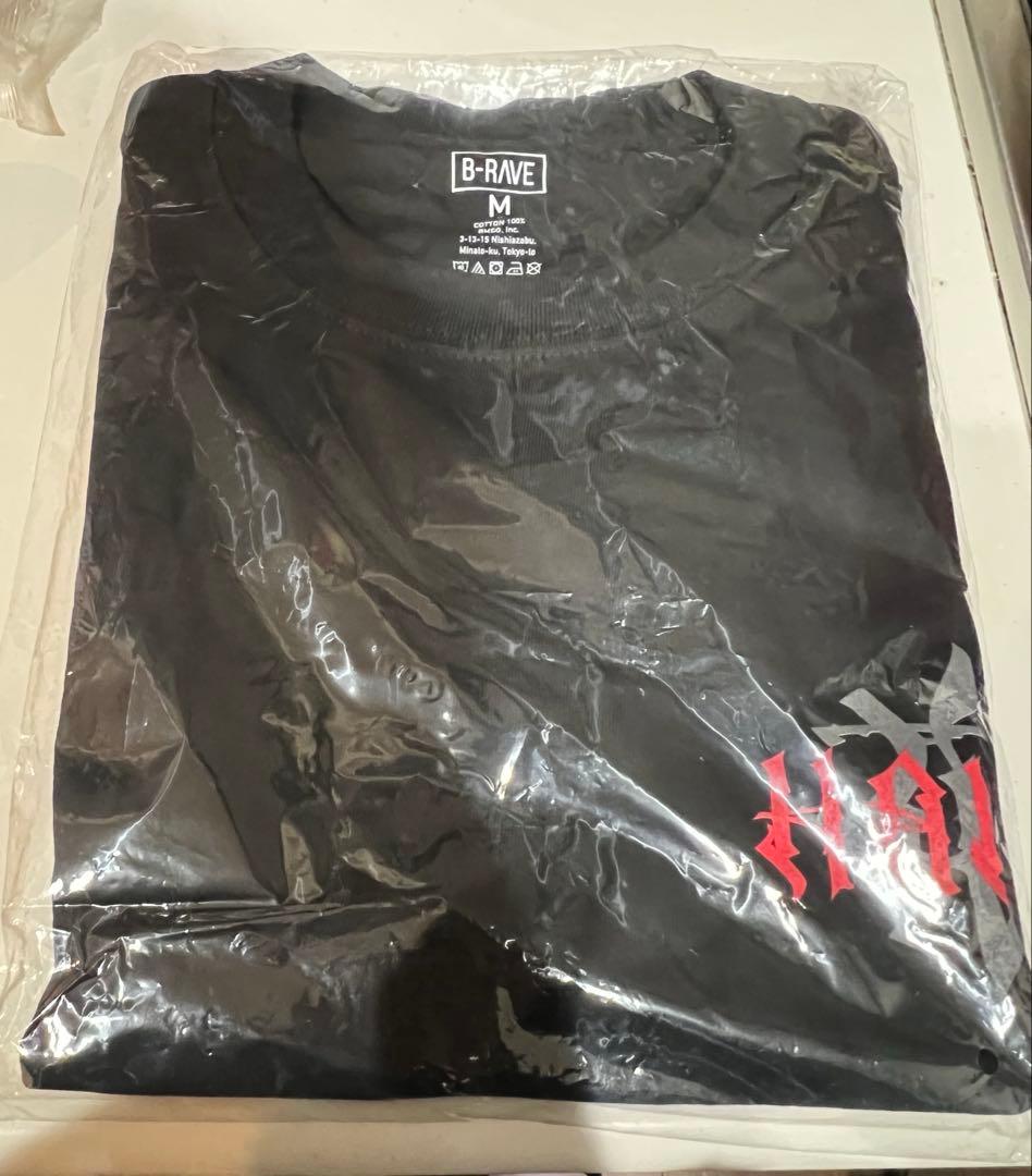 HANA ロゴ Tシャツ Mサイズ - メルカリ