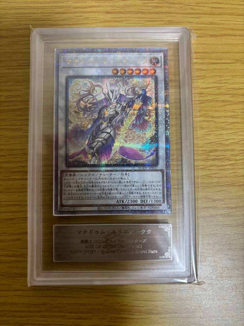 マナドゥム・トリロスークタ ARS10➕ プリシク