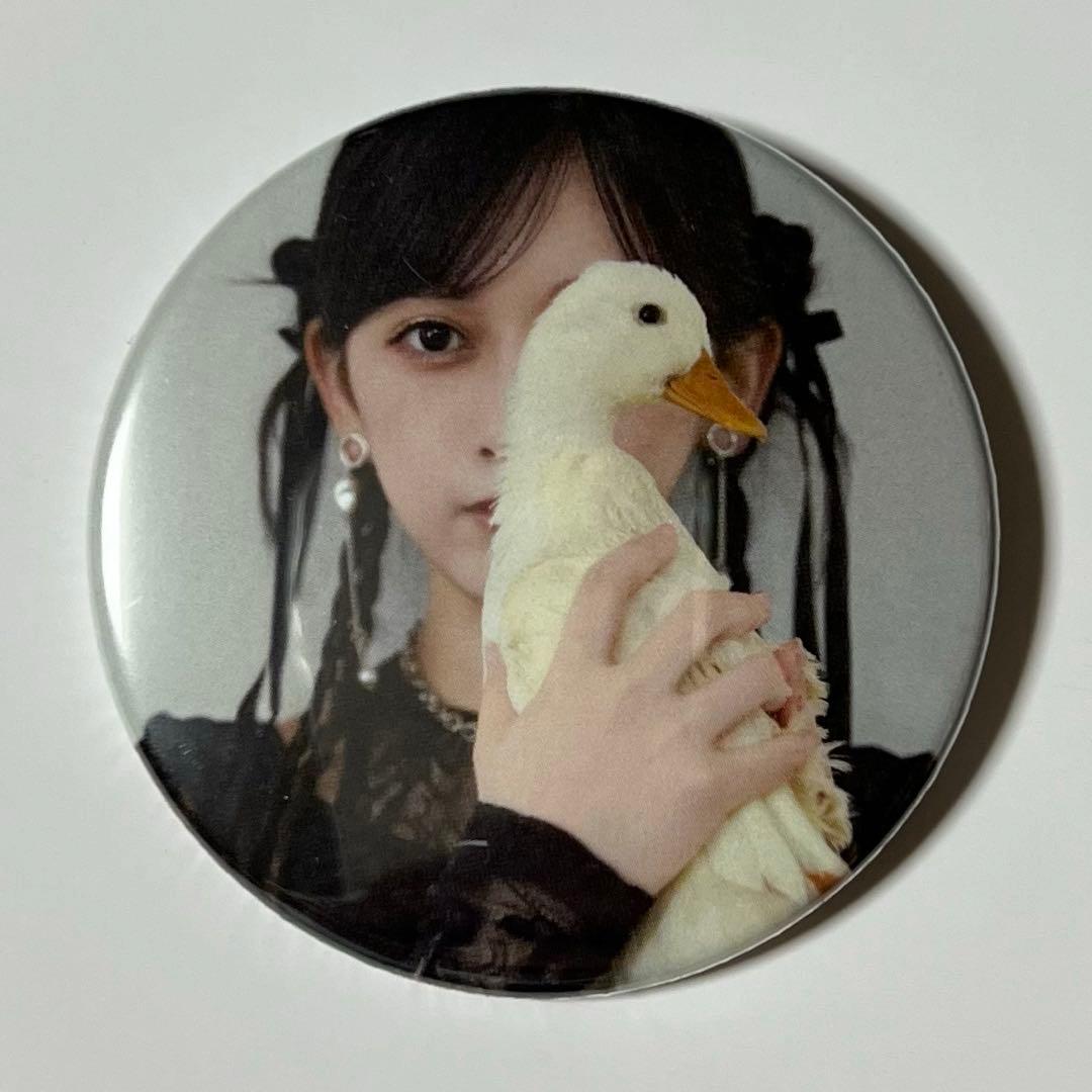 乃木坂46 池田瑛紗 缶バッジ 1 個展 Wings あひるの夢 - メルカリ