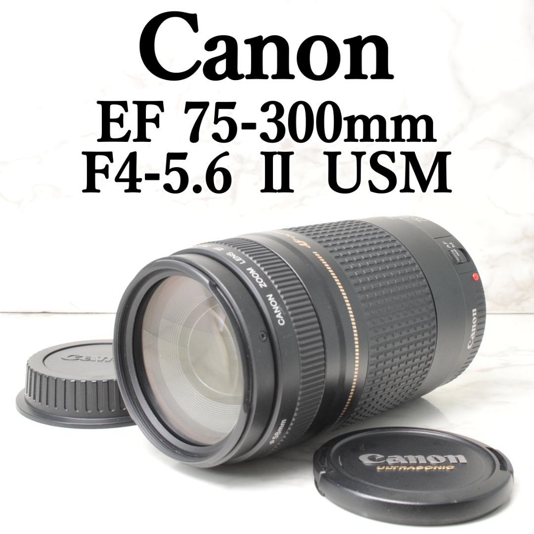 望遠レンズ⭐️Canon EF 75-300mm F4-5.6 Ⅱ USM EF75-300mm F4-5.6 II USMとともに描く美しい瞬間 - 魅惑の中望遠