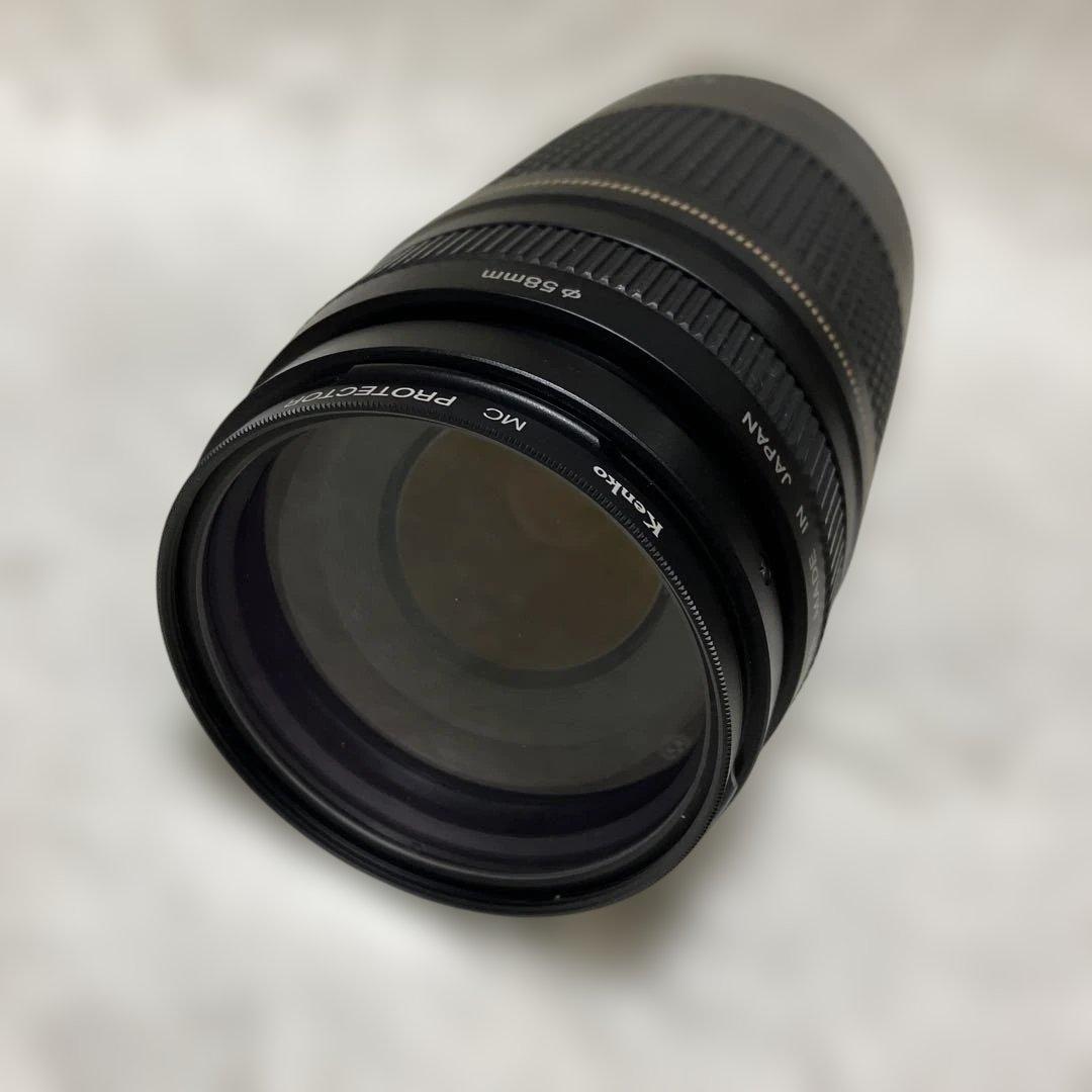 【美品】Canon EF 75-300mm F/4-5.6 Ⅱ