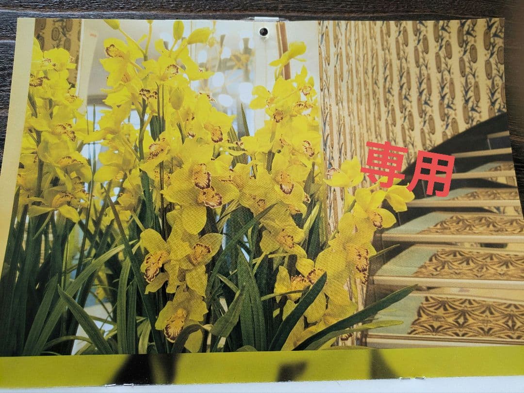 ビオドラガムースウォッシュ×2、24Hクリーム×1 【onepi】 エアステ リニエ ムースウォッシュ - ミキプルーン