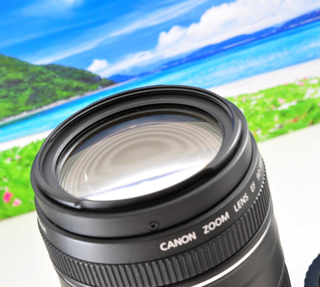 キャノン Canon EF 90-300mm F4.5-5.6 望遠レンズ