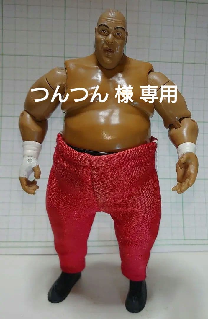 WWE アブドーラ・ザ・ブッチャー Classicスーパースターズ - メルカリ