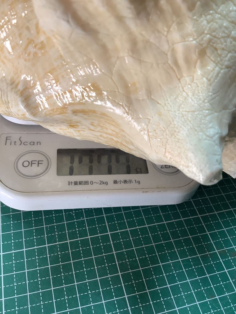 01・ピンクガイ・法螺貝・山伏・修験者・豊臣兄弟・羽黒山・縁起物