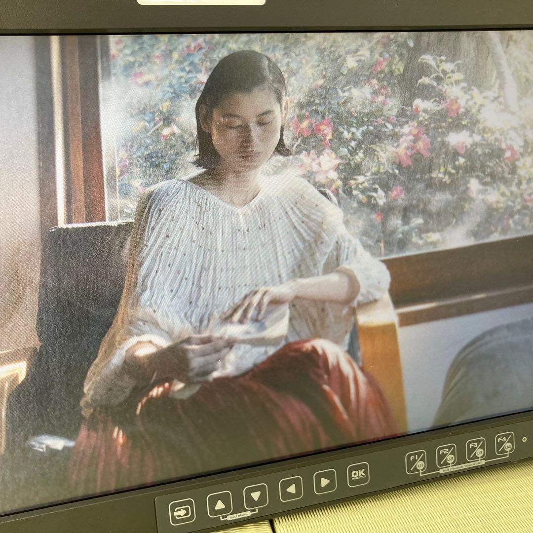 OSEE 15.6インチモニター LCM-156A 本体 専用キャリーケース付き OSEE