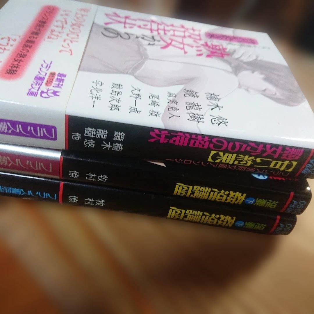フランス書院文庫　60冊セット　まとめ売り