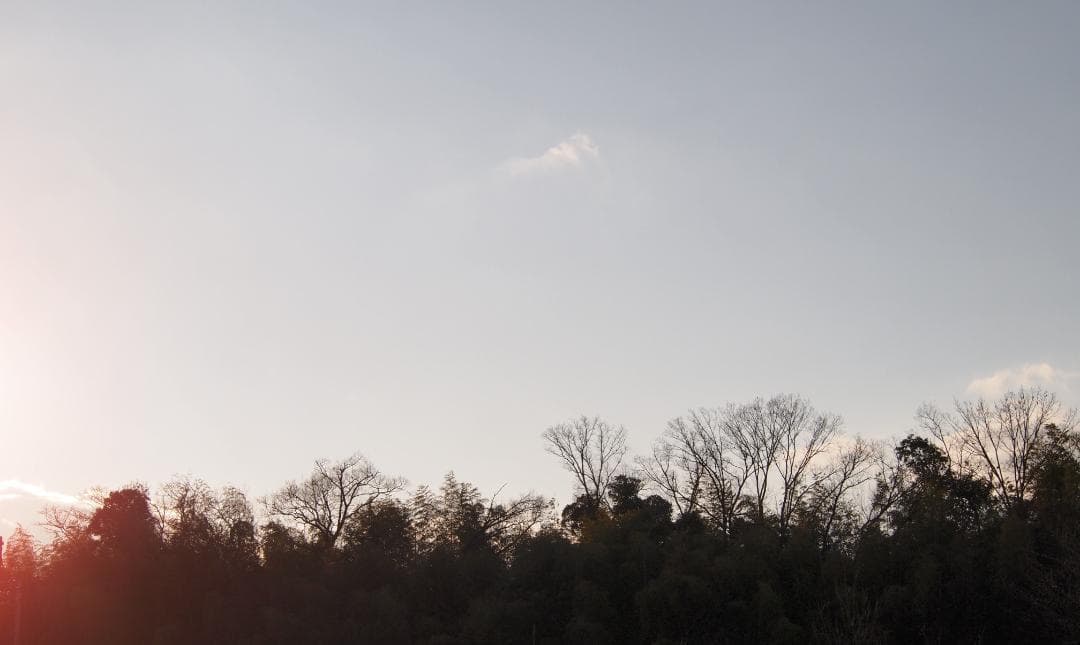 レンズ(ズーム) OLYMPUS M.ZUIKO 40-150mm F4.0-5.6 R