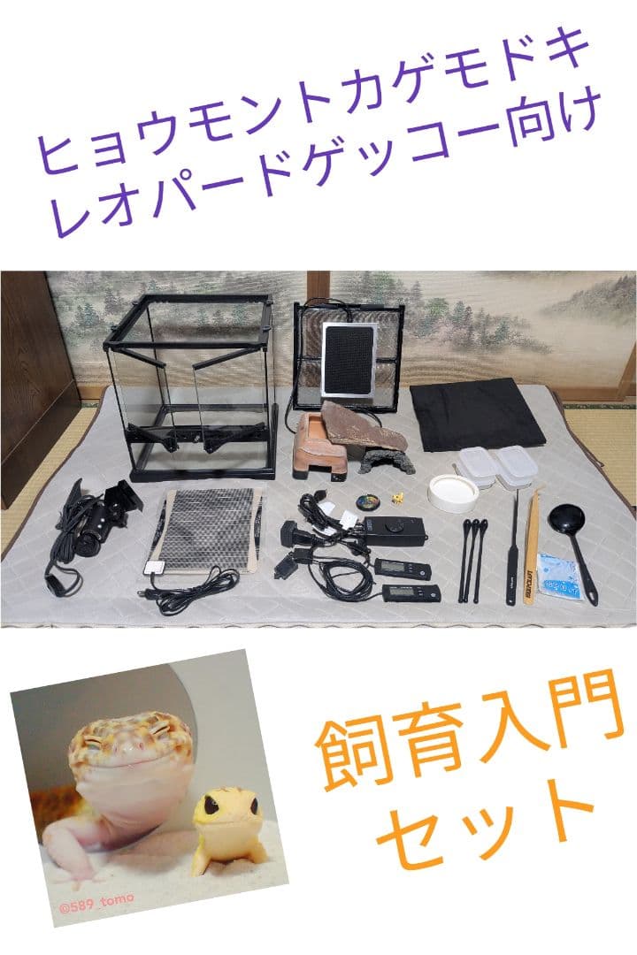 EXO TERRA（エキゾテラ）グラステラリウム3030含む レオパ飼育セット 91T9-AjxbfL._AC_UF350,