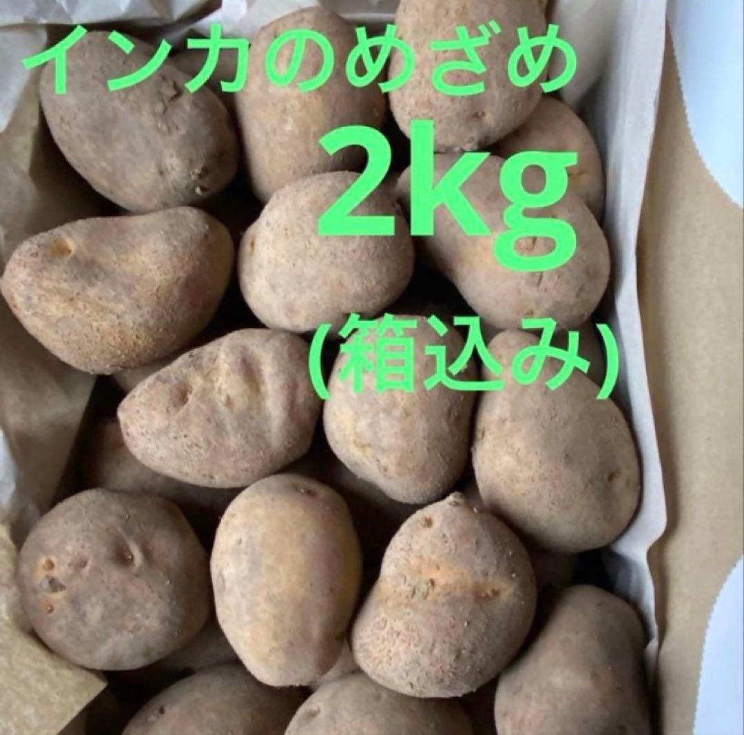ELLY 10 kg 種芋 ジャガイモ Amazon.co.jp: 種芋 とうや 北海道産 じゃがいも 10kg S/Mサイズ以上