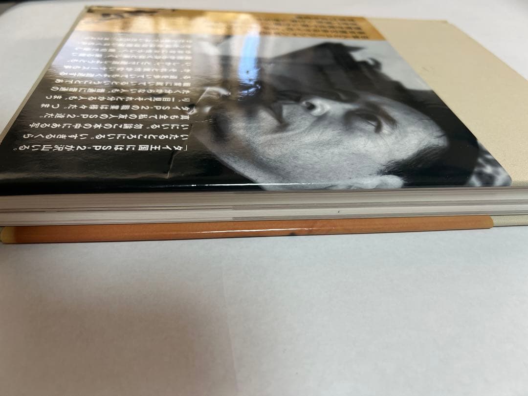 【レア】SP-2 SUSUMU HIRASAWA （写真付き）