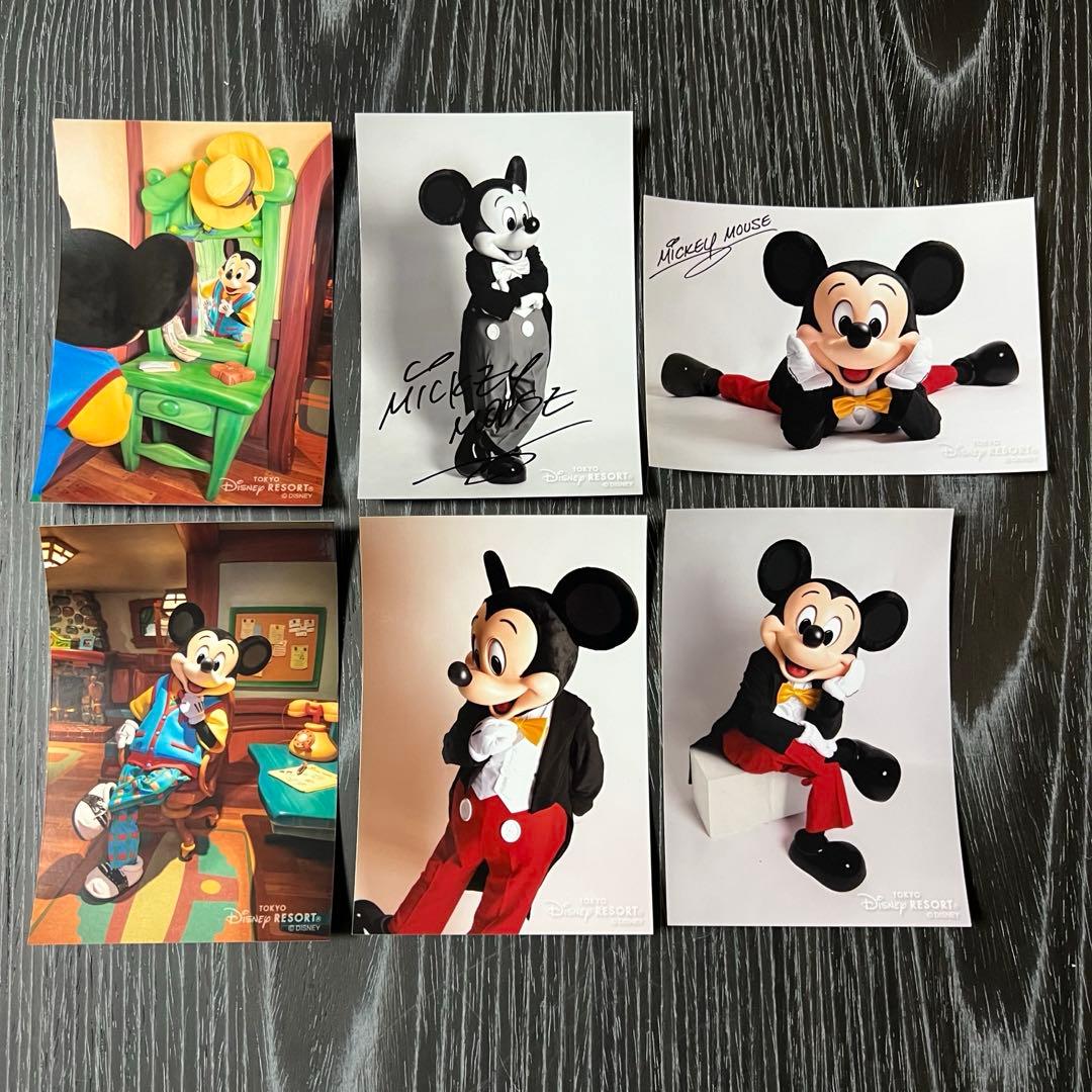 ディズニー ミッキーマウス サイン入り写真 6枚セット ブロマイド