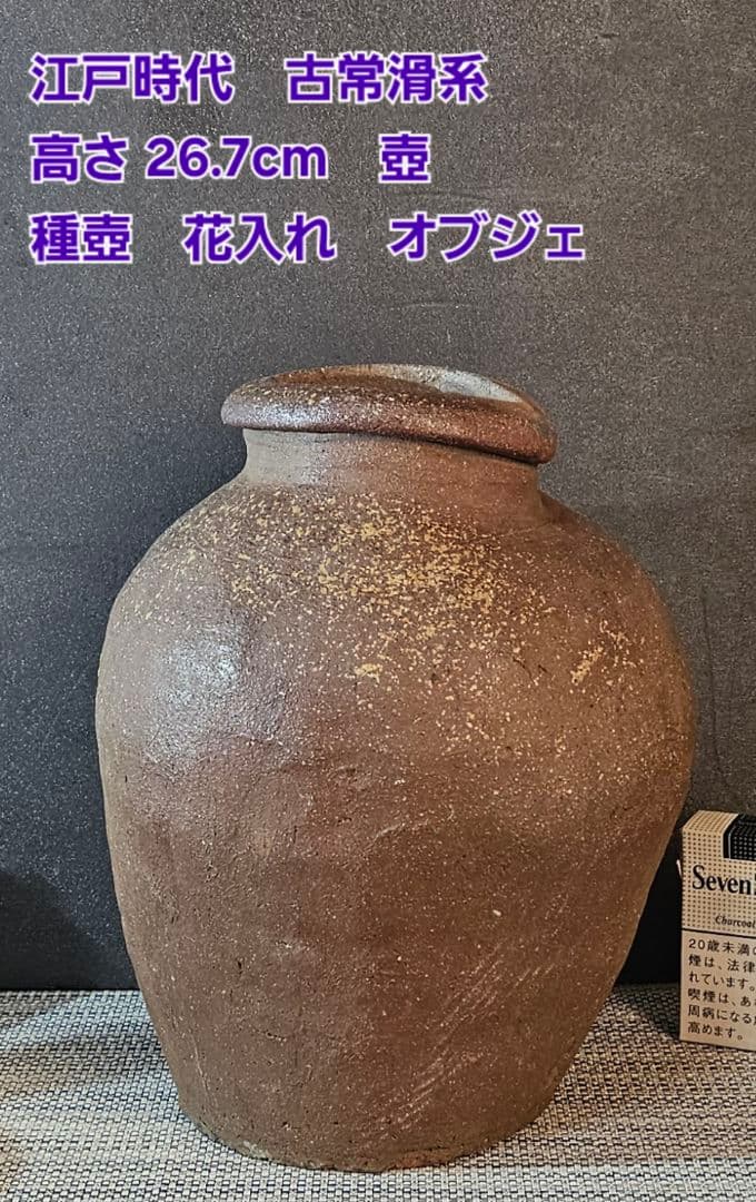 江戸時代　古常滑系　壺　種壺　花入　 花生　インテリア　オブジェ　高26.7cm 室町時代 古常滑 種壺（1336–1573 CE） | 入蘆花（ロカニイル）