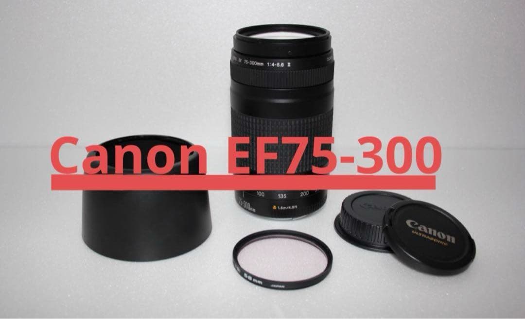 ☆イベント/望遠レンズ/美品/スポーツ/Canon EF75-300㎜☆ キヤノン（Canon） Canon EF 75-300mm f/4-5.6 III 美品 EFマウント