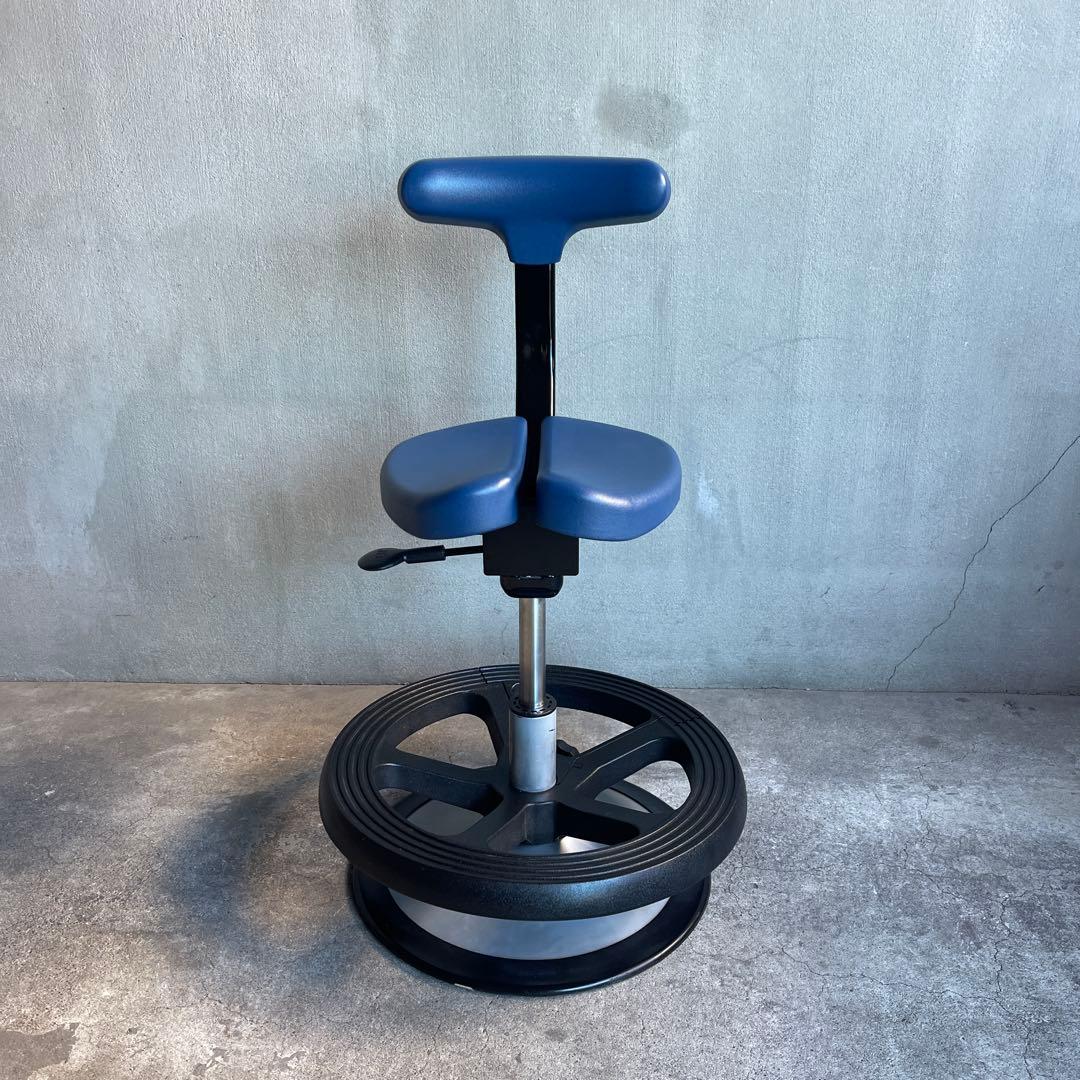 ayur chair アーユルチェア ルナ　足置きリング付　丸ベースタイプ 丸ベースタイプ ルナ｜腰痛対策・姿勢改善椅子、学習椅子（イス