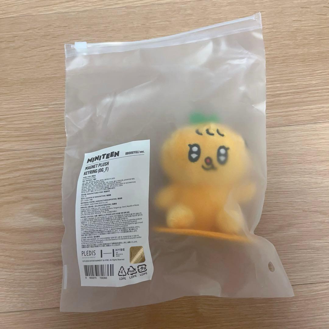 SEVENTEEN セブチ MINITEEN ミニティーン スングァン プギュリ - メルカリ