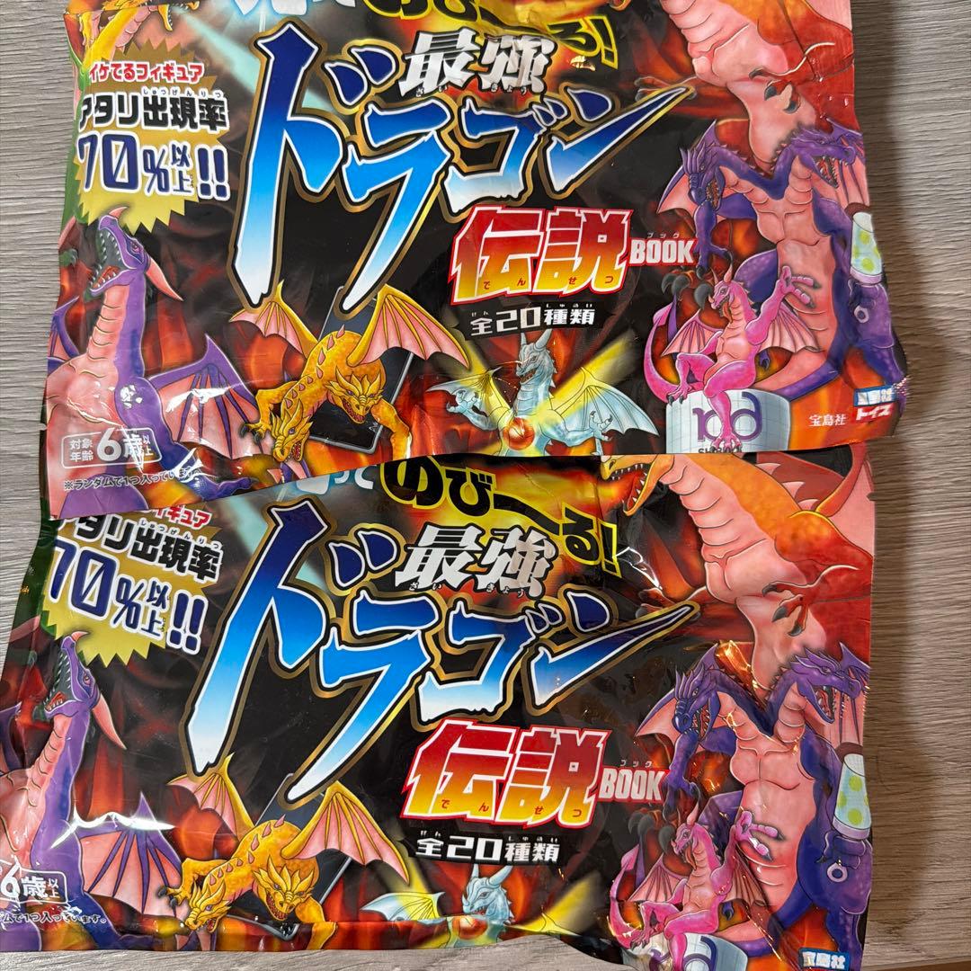 未開封】光ってのびーる！最強ドラゴン伝説BOOK 宝島社 2個セット