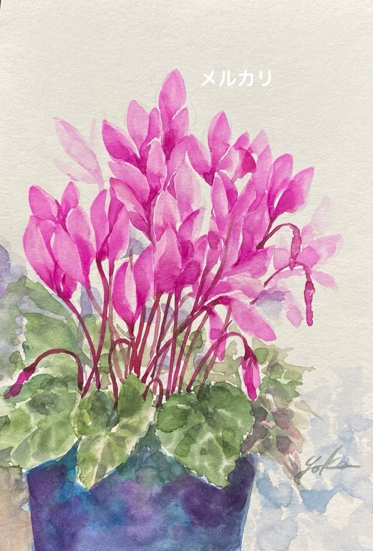 シクラメン 水彩画 原画 - メルカリ