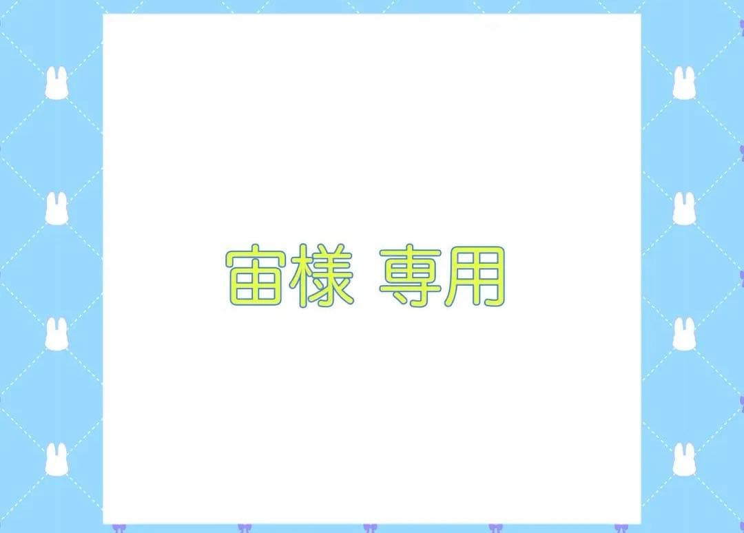 宙ページ SR-71 (YF-12C) Blackbird 'NASA 1971' Hasegawa 02486