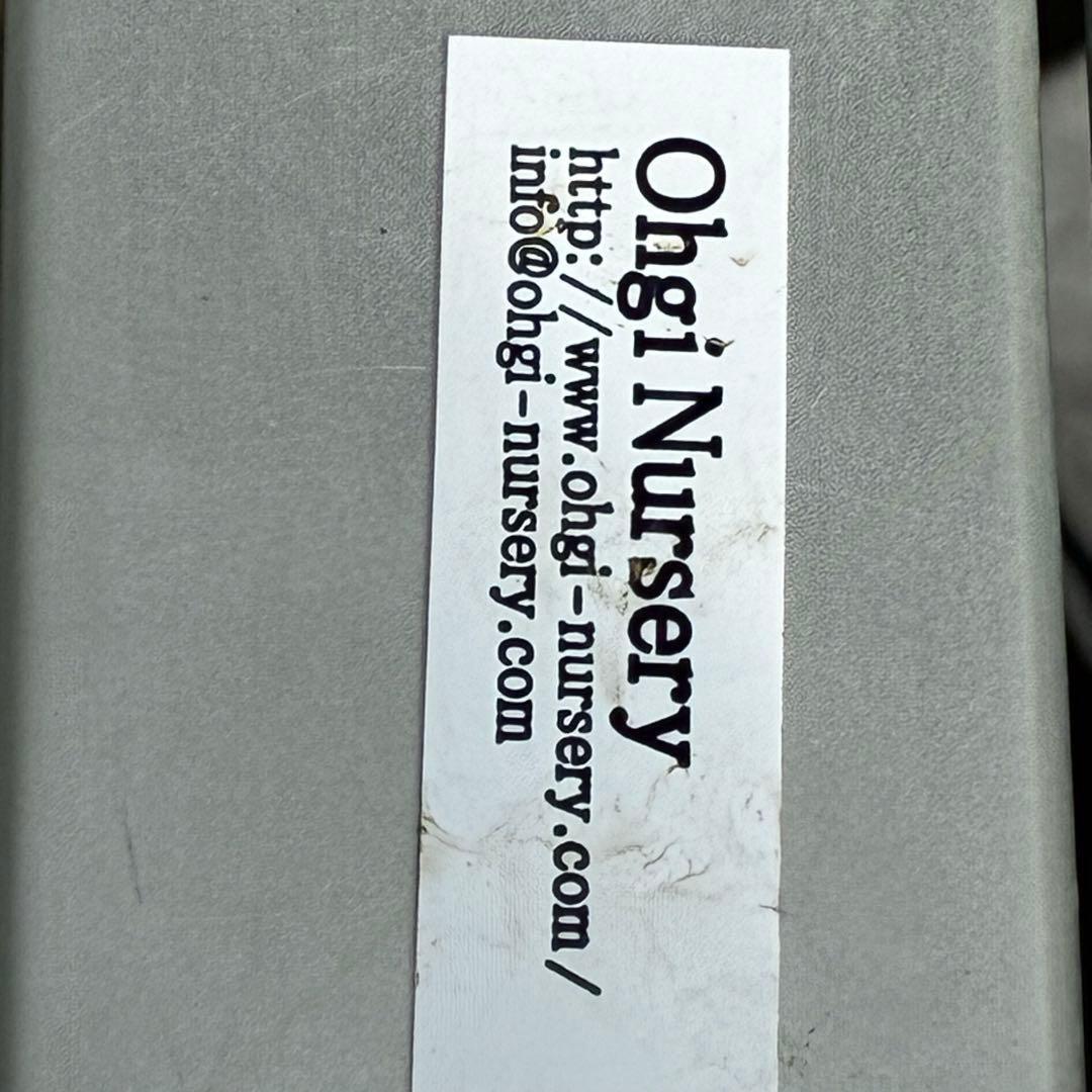 l*a様 558☘️ラスト2☘️蕾花タグ付☘️極上☘️唯一無二☘️⭐️SD⭐️蜃