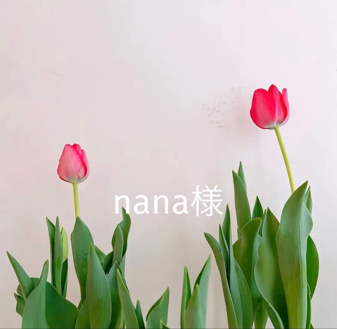 nana　クレンザー業務用　ソリューション 液体クレンザー | 製品情報 | サラヤ業務用製品情報 PRO SARAYA