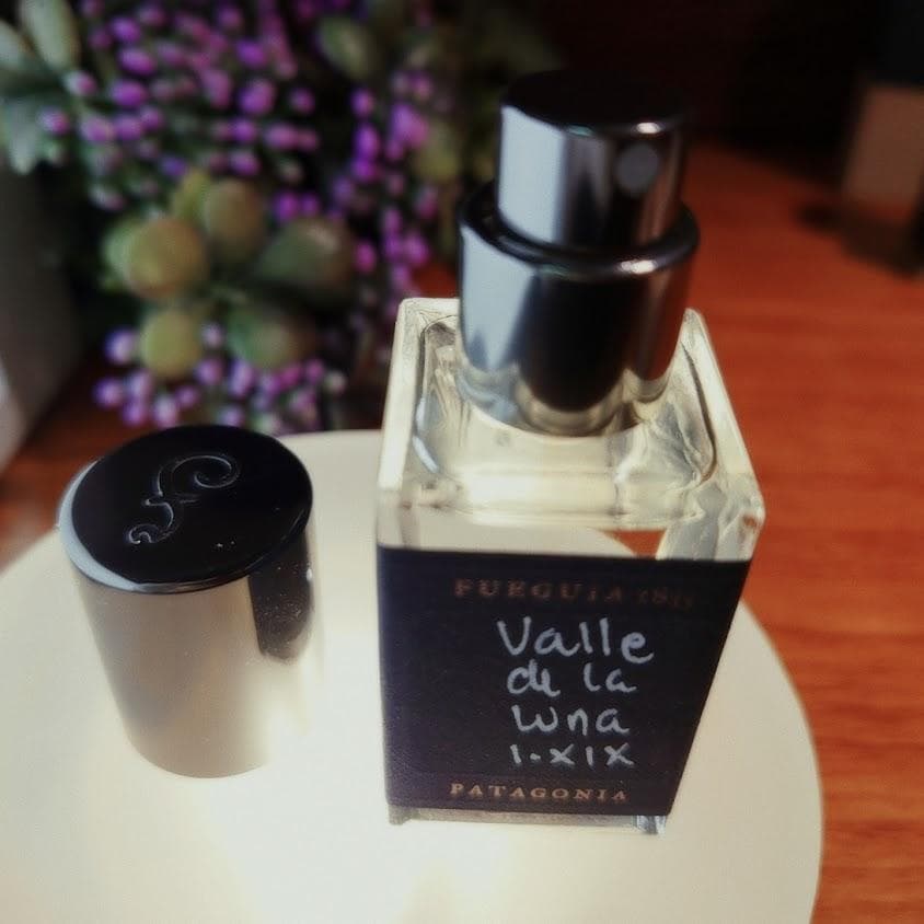 フエギア✨「バジェ デ ラ ルナ」15ml 残量多 I-XIX - メルカリ