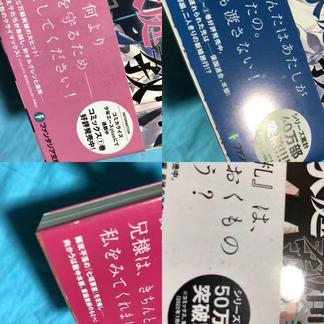 【初版帯付】公女殿下の家庭教師 〜19