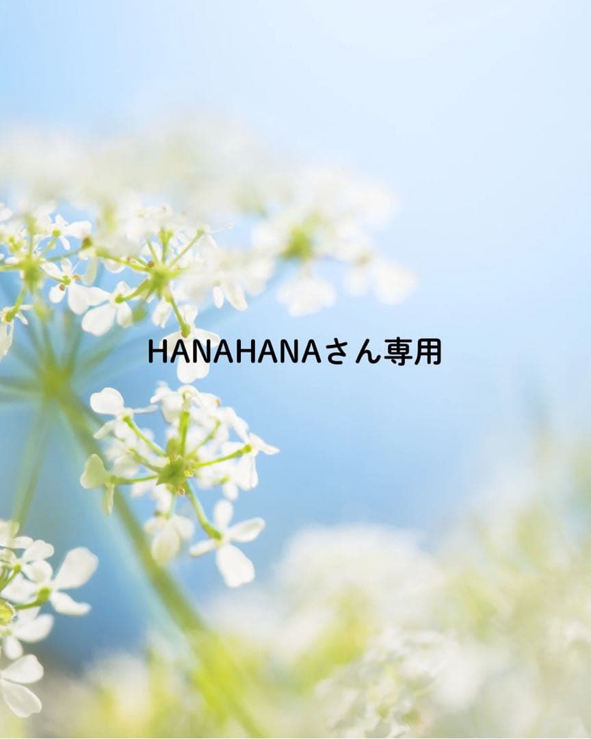HANAHANAさん専用 送料無料】【生花/直送】ハーブ苗 イタリアンパセリ ※ お届け日指定