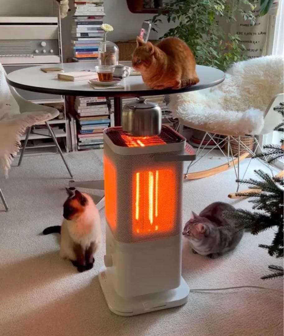 edir カーボンヒーター 5面 Penta Carbon Heater - メルカリ