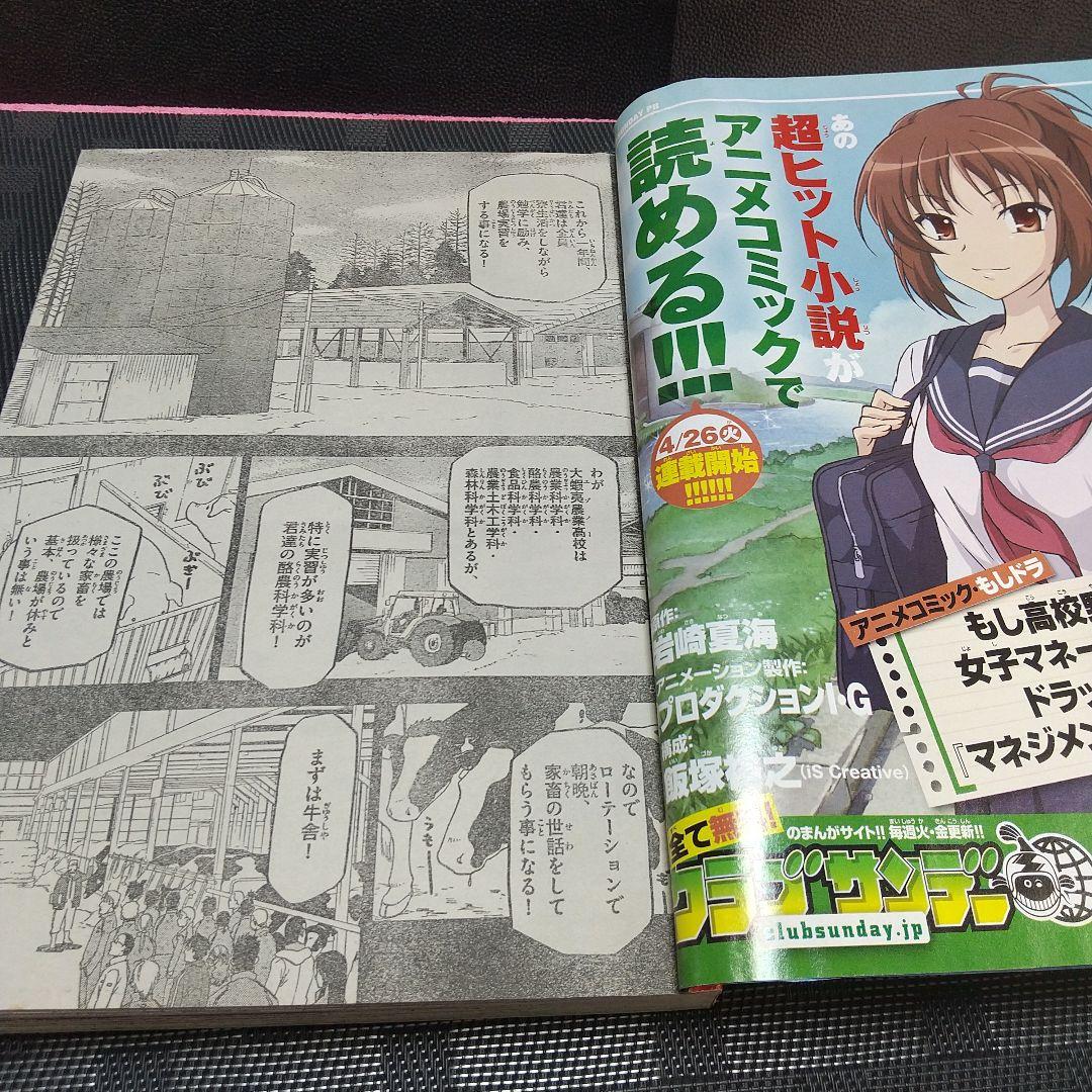 週刊少年サンデー 2011年19号※銀の匙 新連載 荒川弘※クリアファイル未