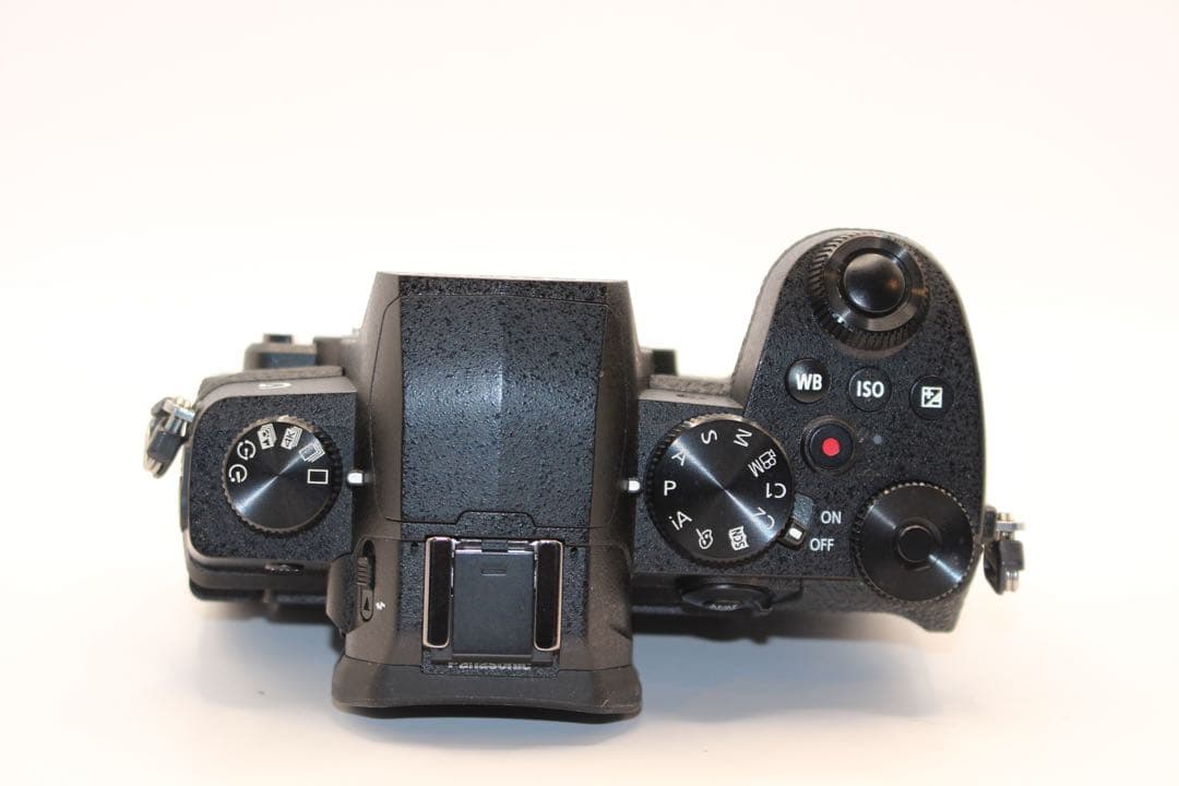 ☆ショット数9289回☆ LUMIX DC-G99 ボディ ミラーレス - メルカリ