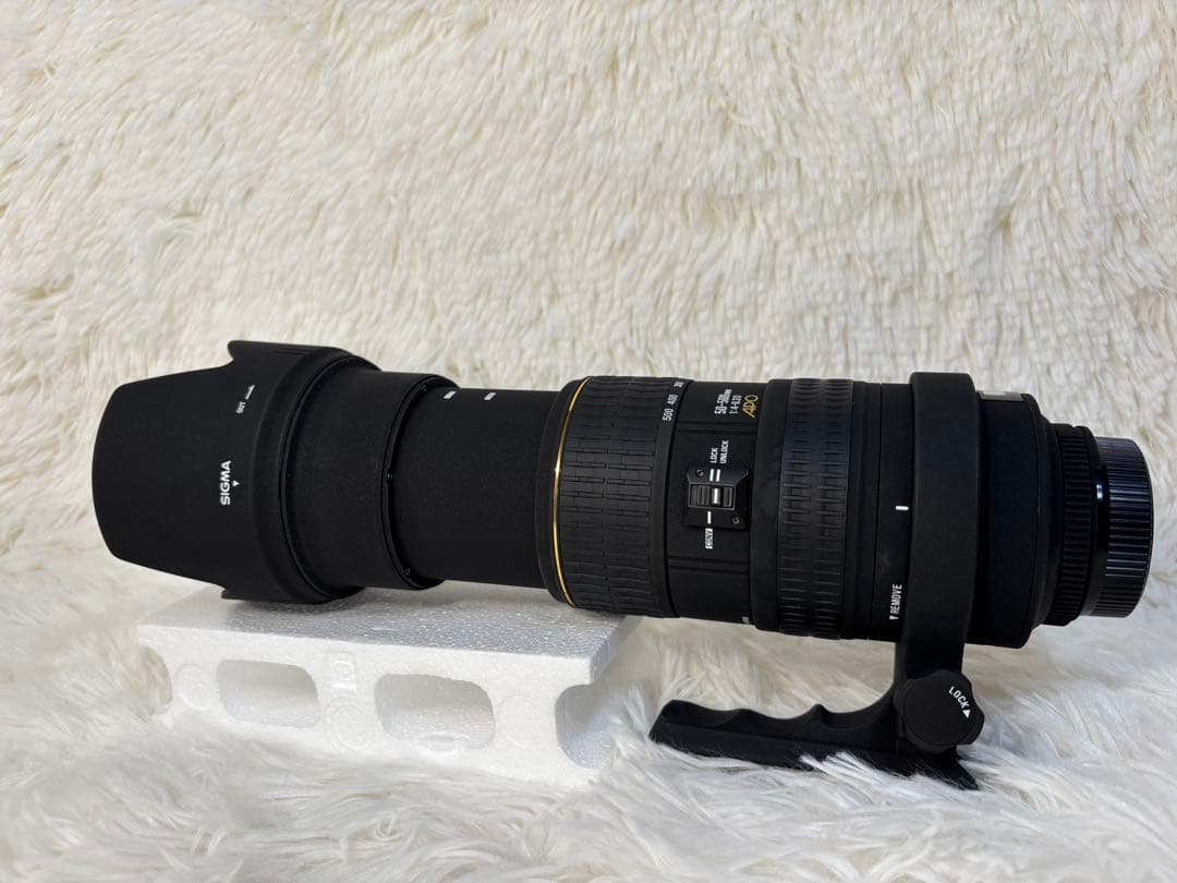 SIGMA シグマ APO 50-500mm F4.5-6.3 DG HSM