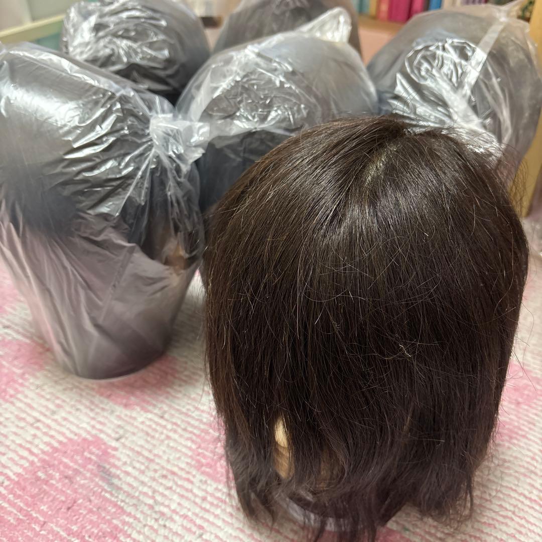 新品　美容師国家試験　練習カットウィッグ　6体 カットウィッグ 美容師 マイスター 国家試験 練習 美容師国家試験 練習