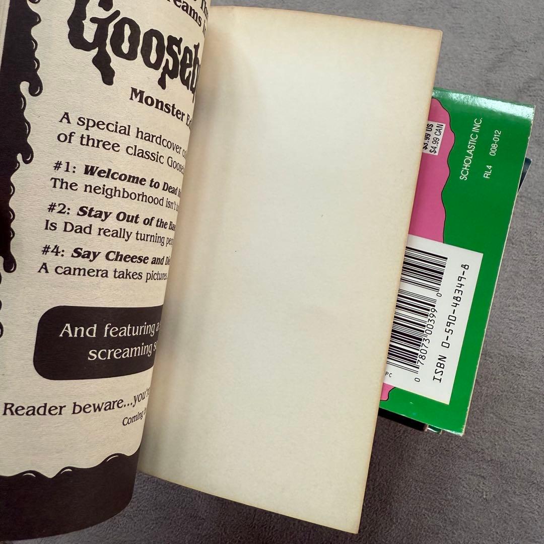 bumps R.L.STINE 他20冊セット ホラー 児童書 洋書