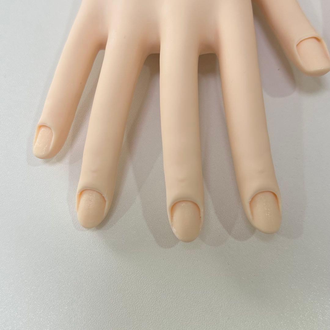 JNEC認定 モデルハンド セット - メルカリ