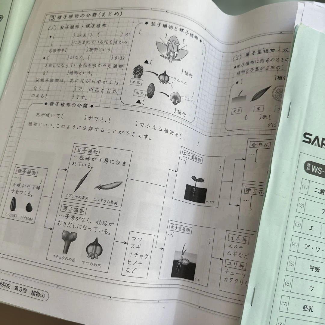 Weekly SapiX 理科 小6 夏期集中2025年 - メルカリ