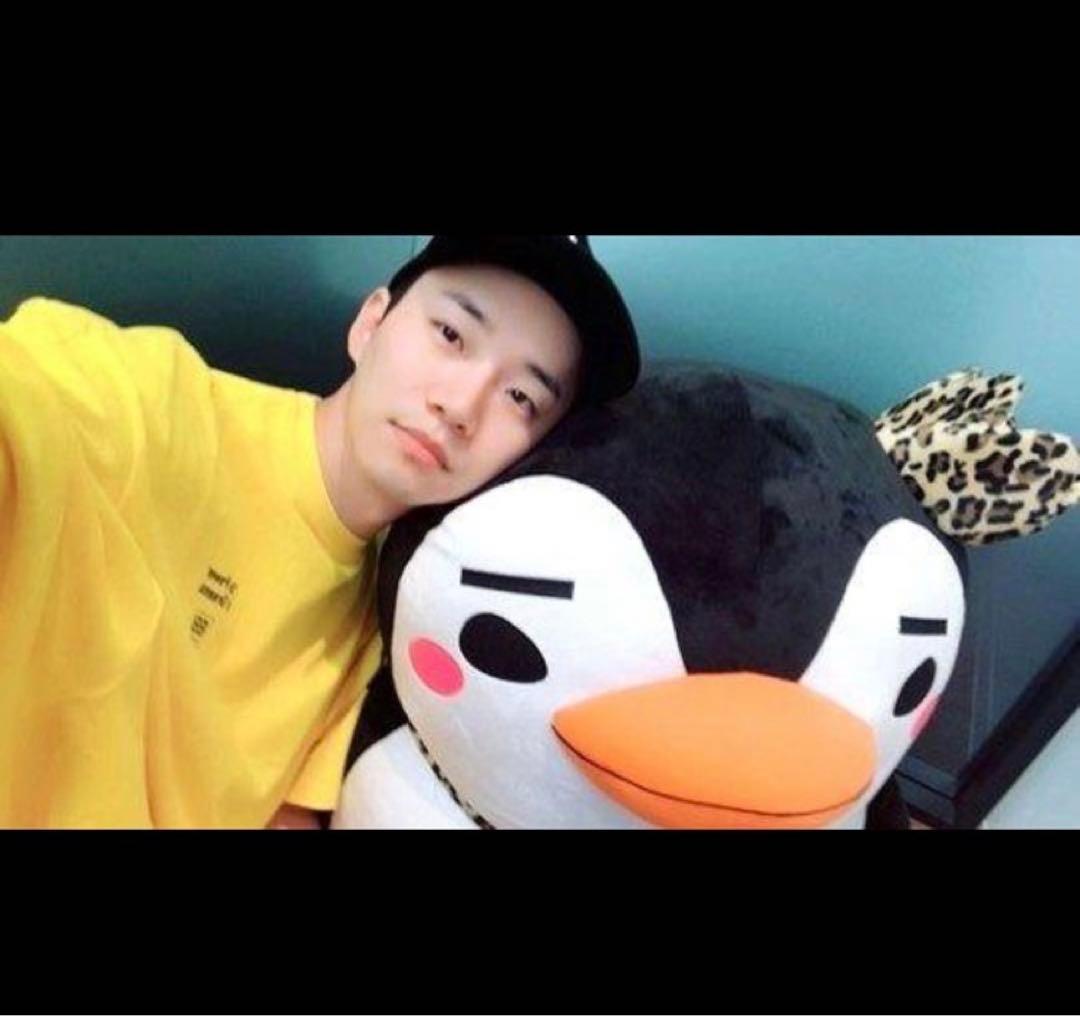 2PM ジュノ 皇帝ペンペン 大型ぬいぐるみ - メルカリ