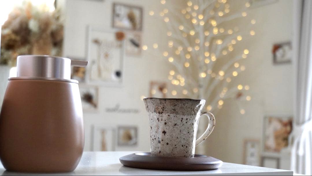 レンズ(ズーム) SONY18-200mm F3.5-6.3 OSS LE SEL18200 LE