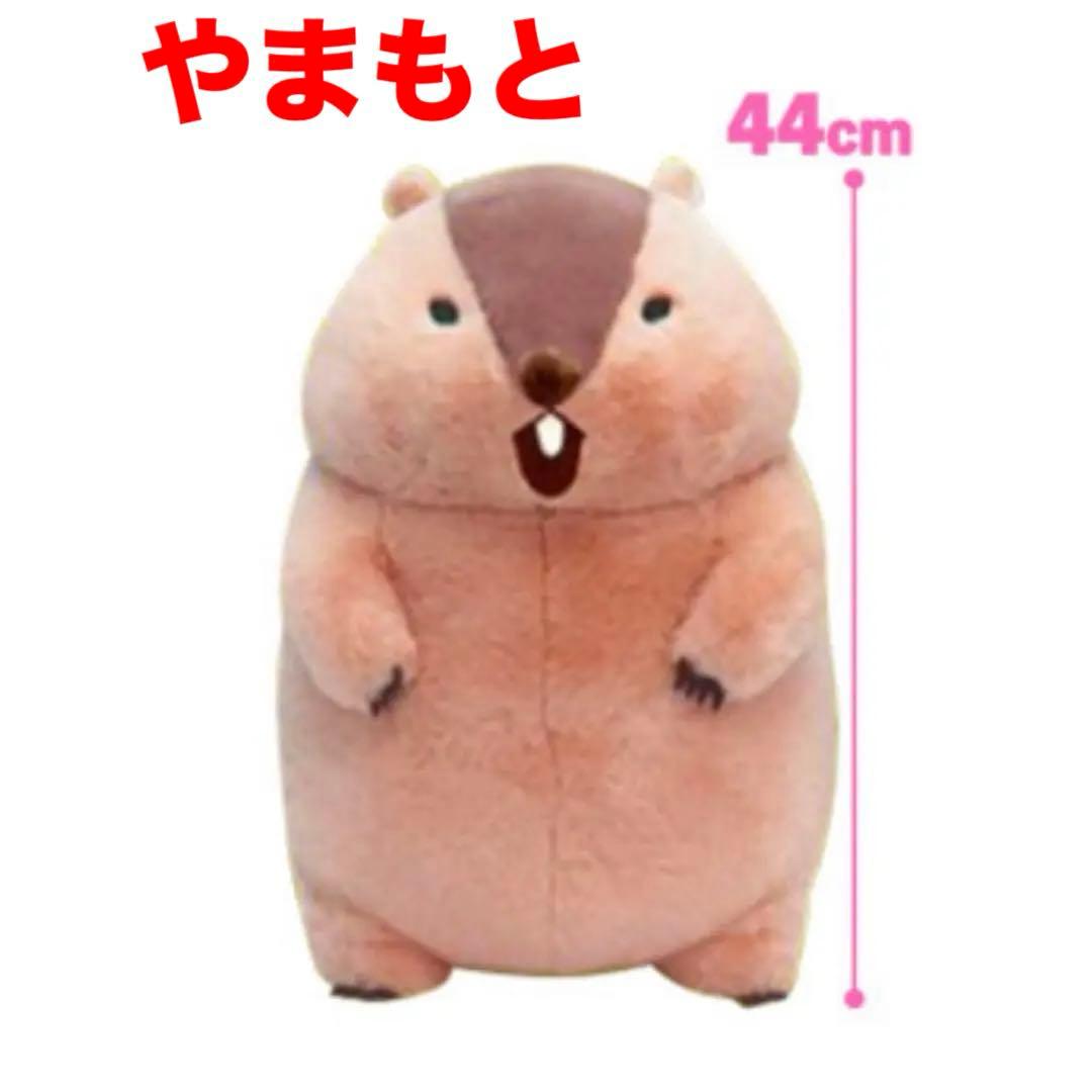 マーモットのもっとっとモア ウルトラBIGぬいぐるみ 3種コンプリート