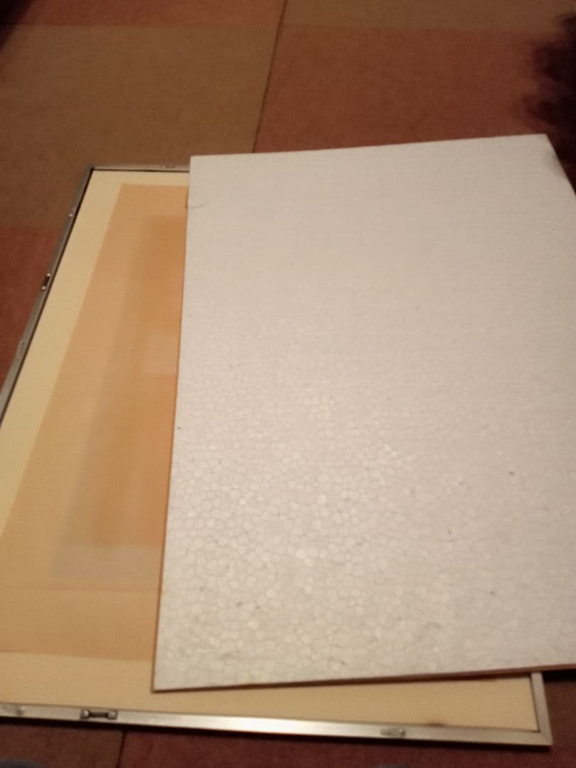 田中秀頴　秋桜子　パステル画